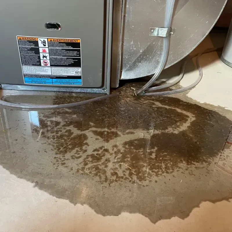 Appliance Leak Cleanup in Thornton, IL